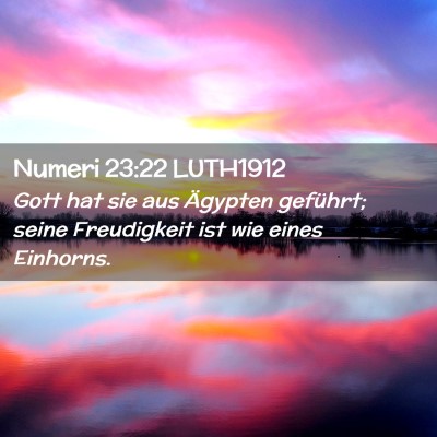 Picture 02 - Numeri 23:22 LUTH1912 - Gott hat sie aus Ägypten geführt; seine - Bible Verse Picture