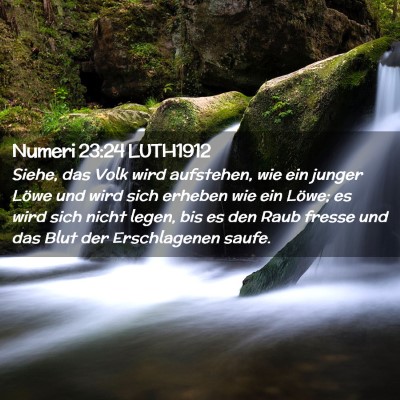Picture 02 - Numeri 23:24 LUTH1912 - Siehe, das Volk wird aufstehen, wie ein junger - Bible Verse Picture