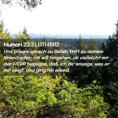 Picture 02 - Numeri 23:3 LUTH1912 - Und Bileam sprach zu Balak: Tritt zu deinem - Bible Verse Picture