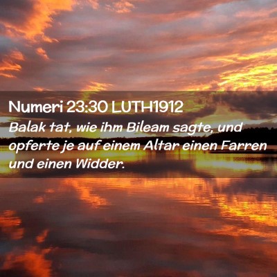 Picture 02 - Numeri 23:30 LUTH1912 - Balak tat, wie ihm Bileam sagte, und opferte je - Bible Verse Picture