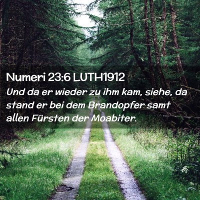 Picture 02 - Numeri 23:6 LUTH1912 - Und da er wieder zu ihm kam, siehe, da stand er - Bible Verse Picture