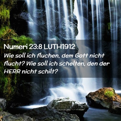 Picture 02 - Numeri 23:8 LUTH1912 - Wie soll ich fluchen, dem Gott nicht flucht? Wie - Bible Verse Picture