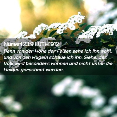 Picture 02 - Numeri 23:9 LUTH1912 - Denn von der Höhe der Felsen sehe ich ihn wohl, - Bible Verse Picture