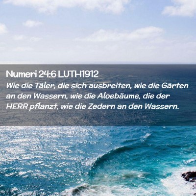 Picture 02 - Numeri 24:6 LUTH1912 - Wie die Täler, die sich ausbreiten, wie die - Bible Verse Picture