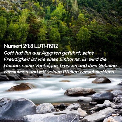 Picture 02 - Numeri 24:8 LUTH1912 - Gott hat ihn aus Ägypten geführt; seine - Bible Verse Picture