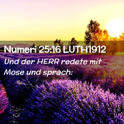 Picture 02 - Numeri 25:16 LUTH1912 - Und der HERR redete mit Mose und - Bible Verse Picture