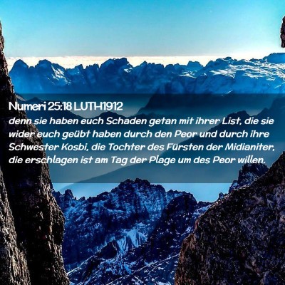 Picture 02 - Numeri 25:18 LUTH1912 - denn sie haben euch Schaden getan mit ihrer List, - Bible Verse Picture
