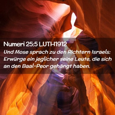 Picture 02 - Numeri 25:5 LUTH1912 - Und Mose sprach zu den Richtern Israels: Erwürge - Bible Verse Picture