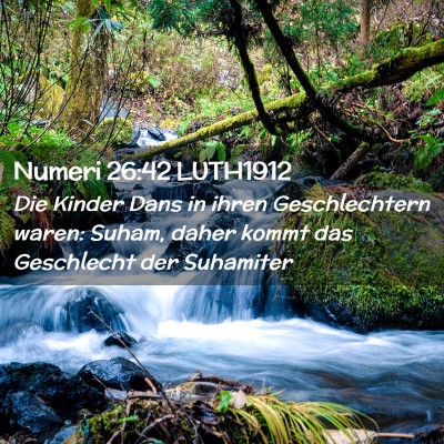 Picture 02 - Numeri 26:42 LUTH1912 - Die Kinder Dans in ihren Geschlechtern waren: - Bible Verse Picture
