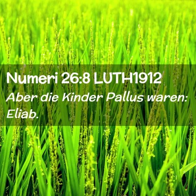 Picture 02 - Numeri 26:8 LUTH1912 - Aber die Kinder Pallus waren: - Bible Verse Picture