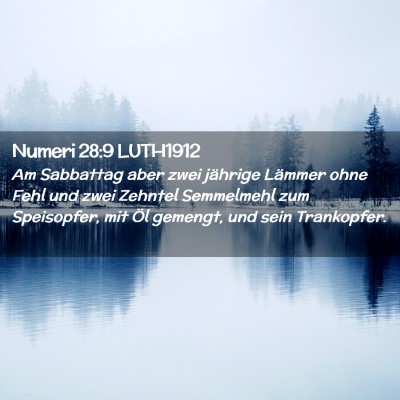 Picture 02 - Numeri 28:9 LUTH1912 - Am Sabbattag aber zwei jährige Lämmer ohne Fehl - Bible Verse Picture