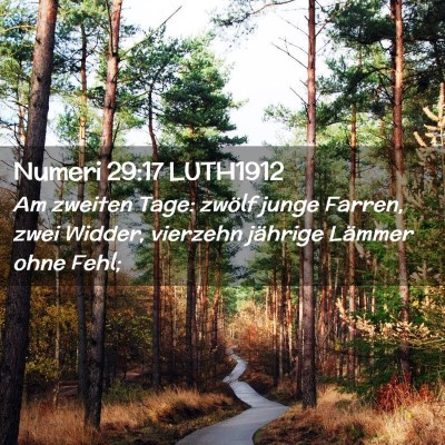 Picture 02 - Numeri 29:17 LUTH1912 - Am zweiten Tage: zwölf junge Farren, zwei - Bible Verse Picture
