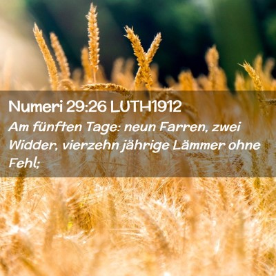 Picture 02 - Numeri 29:26 LUTH1912 - Am fünften Tage: neun Farren, zwei Widder, - Bible Verse Picture