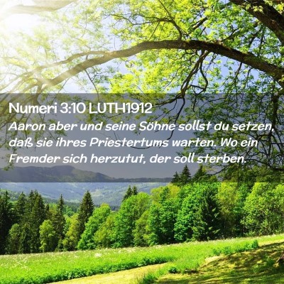 Picture 02 - Numeri 3:10 LUTH1912 - Aaron aber und seine Söhne sollst du setzen, - Bible Verse Picture