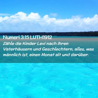 Picture 02 - Numeri 3:15 LUTH1912 - Zähle die Kinder Levi nach ihren Vaterhäusern - Bible Verse Picture