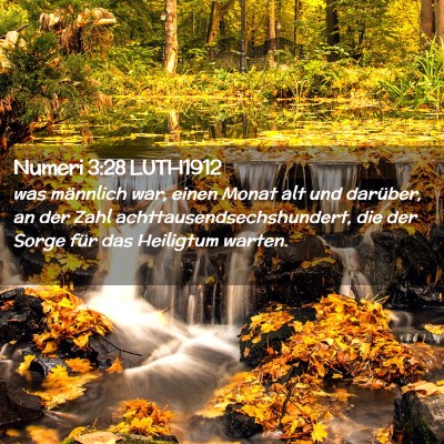 Picture 02 - Numeri 3:28 LUTH1912 - was männlich war, einen Monat alt und darüber, - Bible Verse Picture