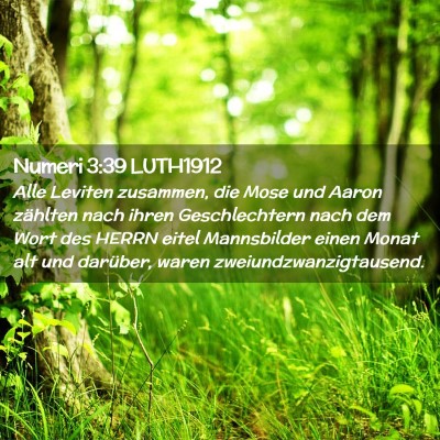 Picture 02 - Numeri 3:39 LUTH1912 - Alle Leviten zusammen, die Mose und Aaron - Bible Verse Picture