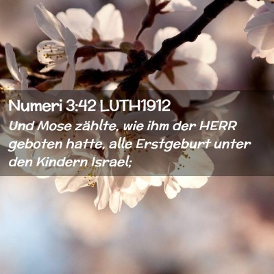 Picture 02 - Numeri 3:42 LUTH1912 - Und Mose zählte, wie ihm der HERR geboten hatte, - Bible Verse Picture