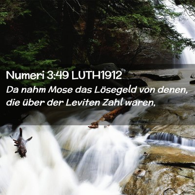 Picture 02 - Numeri 3:49 LUTH1912 - Da nahm Mose das Lösegeld von denen, die über - Bible Verse Picture