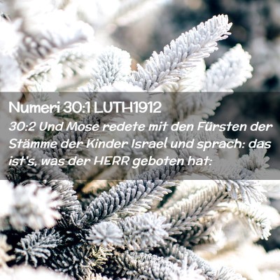 Picture 02 - Numeri 30:1 LUTH1912 - 30:2 Und Mose redete mit den Fürsten der Stämme - Bible Verse Picture