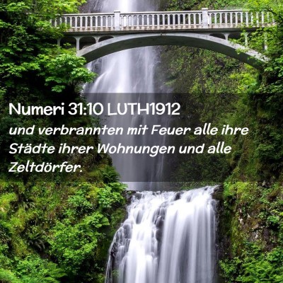 Picture 02 - Numeri 31:10 LUTH1912 - und verbrannten mit Feuer alle ihre Städte ihrer - Bible Verse Picture