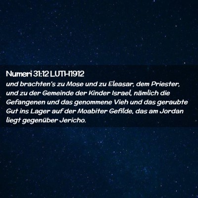 Picture 02 - Numeri 31:12 LUTH1912 - und brachten's zu Mose und zu Eleasar, dem - Bible Verse Picture