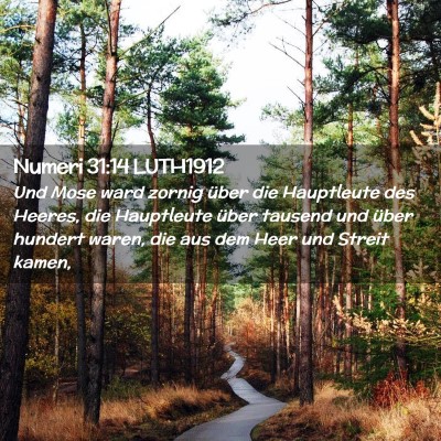 Picture 02 - Numeri 31:14 LUTH1912 - Und Mose ward zornig über die Hauptleute des - Bible Verse Picture