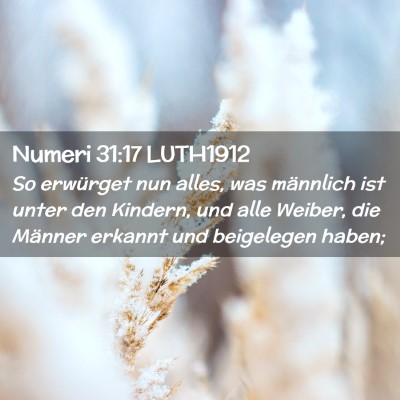 Picture 02 - Numeri 31:17 LUTH1912 - So erwürget nun alles, was männlich ist unter - Bible Verse Picture
