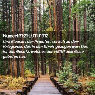 Picture 02 - Numeri 31:21 LUTH1912 - Und Eleasar, der Priester, sprach zu dem - Bible Verse Picture