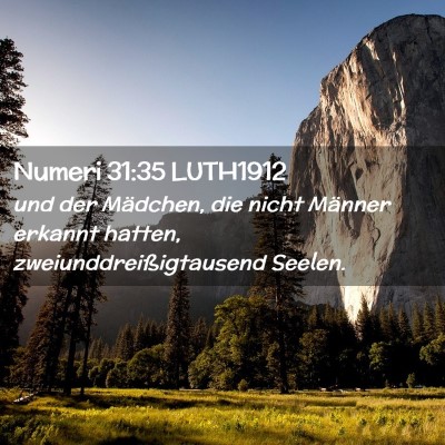 Picture 02 - Numeri 31:35 LUTH1912 - und der Mädchen, die nicht Männer erkannt - Bible Verse Picture