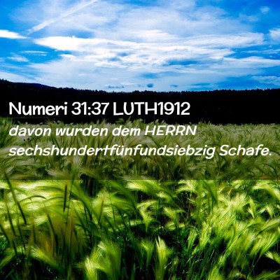 Picture 02 - Numeri 31:37 LUTH1912 - davon wurden dem HERRN - Bible Verse Picture