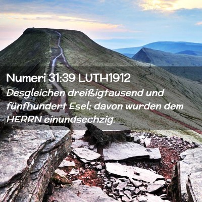 Picture 02 - Numeri 31:39 LUTH1912 - Desgleichen dreißigtausend und fünfhundert - Bible Verse Picture