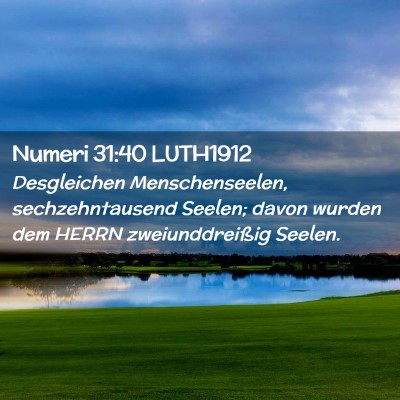 Picture 02 - Numeri 31:40 LUTH1912 - Desgleichen Menschenseelen, sechzehntausend - Bible Verse Picture
