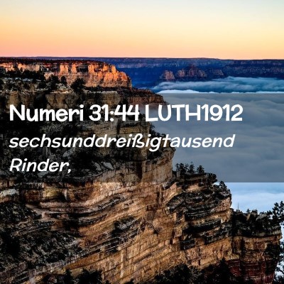 Picture 02 - Numeri 31:44 LUTH1912 - sechsunddreißigtausend - Bible Verse Picture