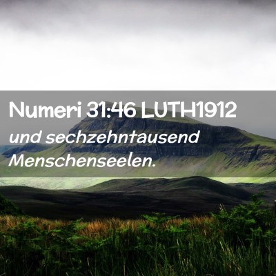 Picture 02 - Numeri 31:46 LUTH1912 - und sechzehntausend - Bible Verse Picture