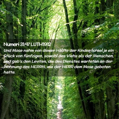 Picture 02 - Numeri 31:47 LUTH1912 - Und Mose nahm von dieser Hälfte der Kinder - Bible Verse Picture