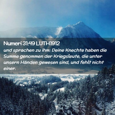 Picture 02 - Numeri 31:49 LUTH1912 - und sprachen zu ihm: Deine Knechte haben die - Bible Verse Picture