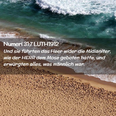 Picture 02 - Numeri 31:7 LUTH1912 - Und sie führten das Heer wider die Midianiter, - Bible Verse Picture