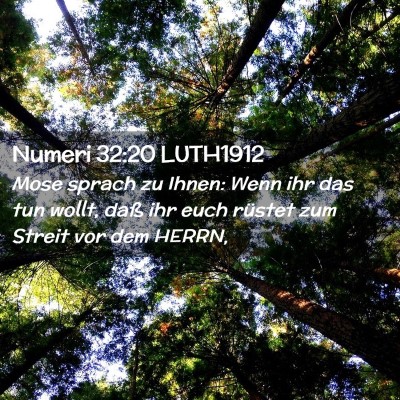 Picture 02 - Numeri 32:20 LUTH1912 - Mose sprach zu Ihnen: Wenn ihr das tun wollt, - Bible Verse Picture