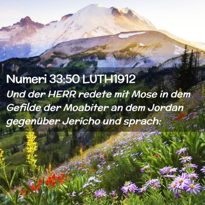 Picture 02 - Numeri 33:50 LUTH1912 - Und der HERR redete mit Mose in dem Gefilde der - Bible Verse Picture