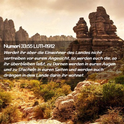 Picture 02 - Numeri 33:55 LUTH1912 - Werdet ihr aber die Einwohner des Landes nicht - Bible Verse Picture