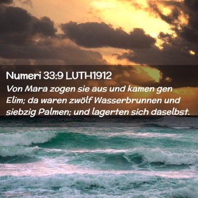 Picture 02 - Numeri 33:9 LUTH1912 - Von Mara zogen sie aus und kamen gen Elim; da - Bible Verse Picture