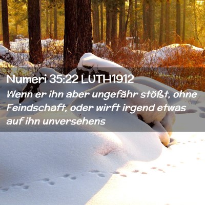 Picture 02 - Numeri 35:22 LUTH1912 - Wenn er ihn aber ungefähr stößt, ohne - Bible Verse Picture