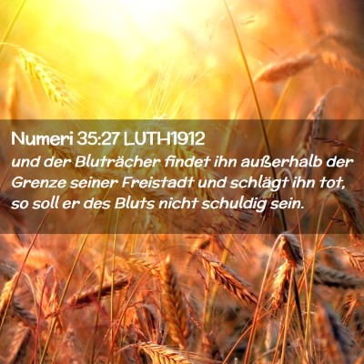 Picture 02 - Numeri 35:27 LUTH1912 - und der Bluträcher findet ihn außerhalb der - Bible Verse Picture