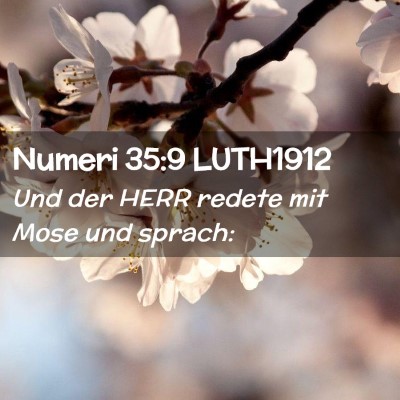 Picture 02 - Numeri 35:9 LUTH1912 - Und der HERR redete mit Mose und - Bible Verse Picture