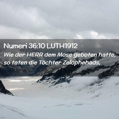 Picture 02 - Numeri 36:10 LUTH1912 - Wie der HERR dem Mose geboten hatte, so taten die - Bible Verse Picture