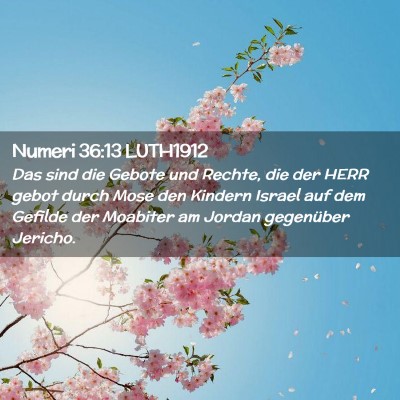 Picture 02 - Numeri 36:13 LUTH1912 - Das sind die Gebote und Rechte, die der HERR - Bible Verse Picture