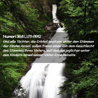 Picture 02 - Numeri 36:8 LUTH1912 - Und alle Töchter, die Erbteil besitzen unter den - Bible Verse Picture