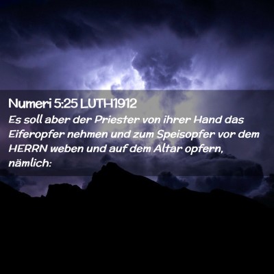 Picture 02 - Numeri 5:25 LUTH1912 - Es soll aber der Priester von ihrer Hand das - Bible Verse Picture