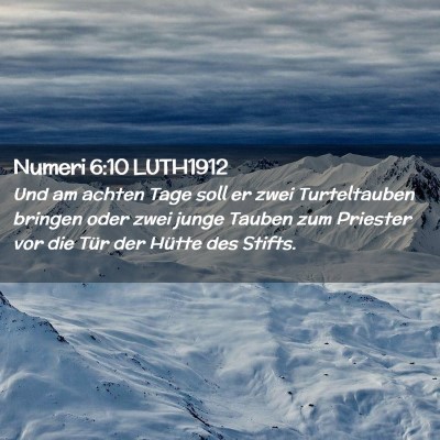 Picture 02 - Numeri 6:10 LUTH1912 - Und am achten Tage soll er zwei Turteltauben - Bible Verse Picture